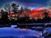 photo-1_2