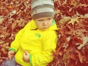 photo-2_2