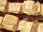 dscn0383