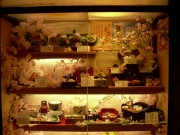 dscn0421